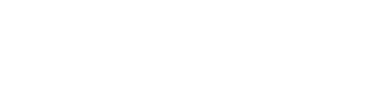Mecmesin Logo